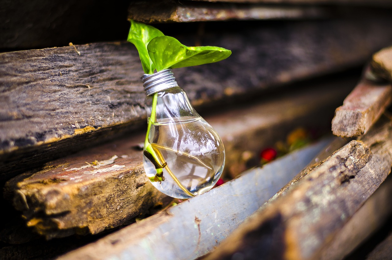 Upcycling Ideas to Transform Old Light Bulb into Ornaments